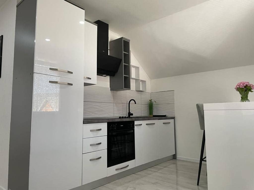 Apartman Pavenka オトチャッツ エクステリア 写真